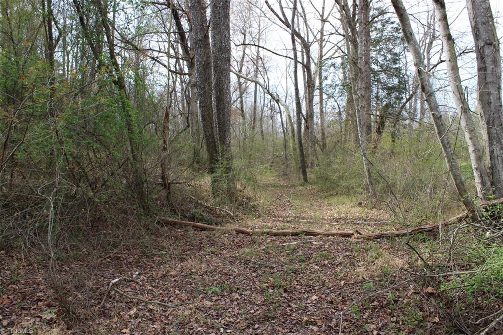 0 Vashti Road Property Photo 34