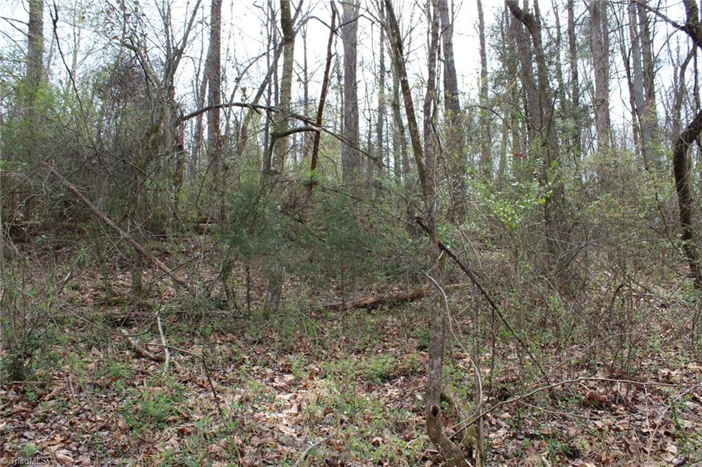 0 Vashti Road Property Photo 37