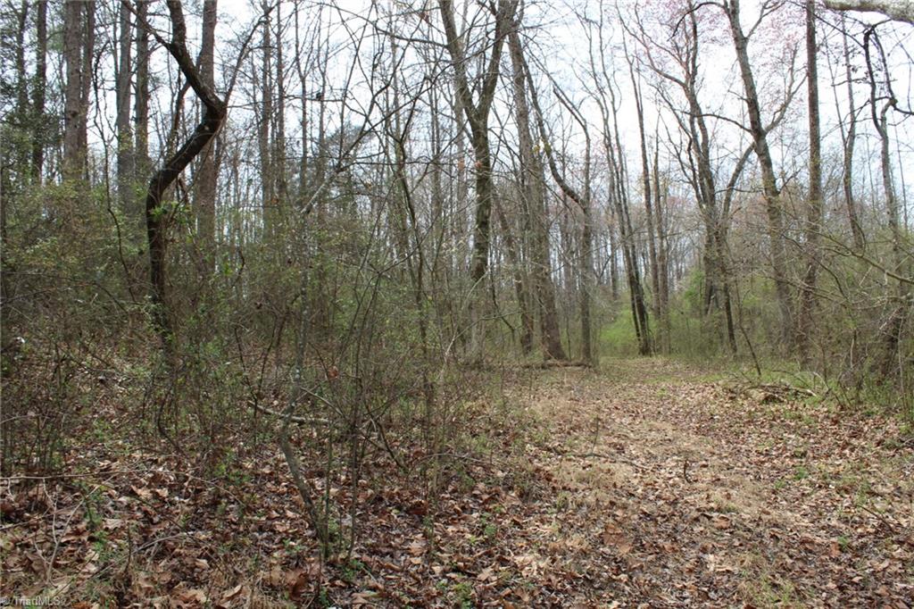 0 Vashti Road Property Photo 38