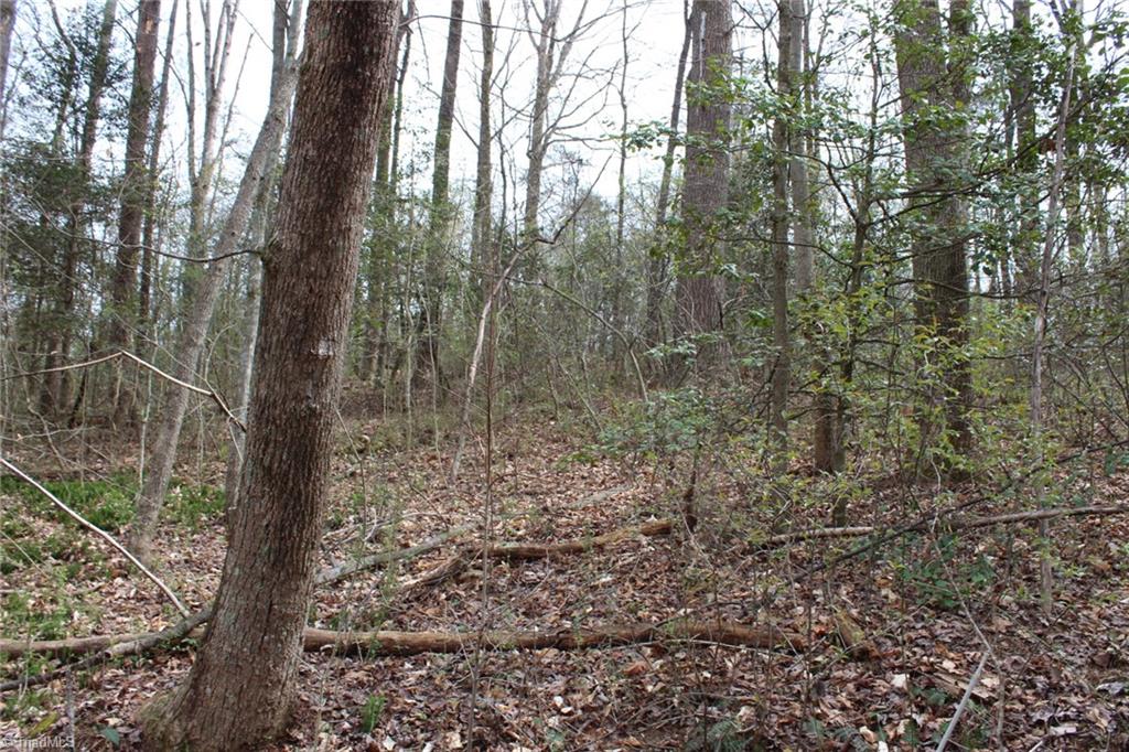 0 Vashti Road Property Photo 40