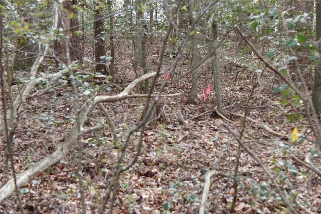 0 Vashti Road Property Photo 42