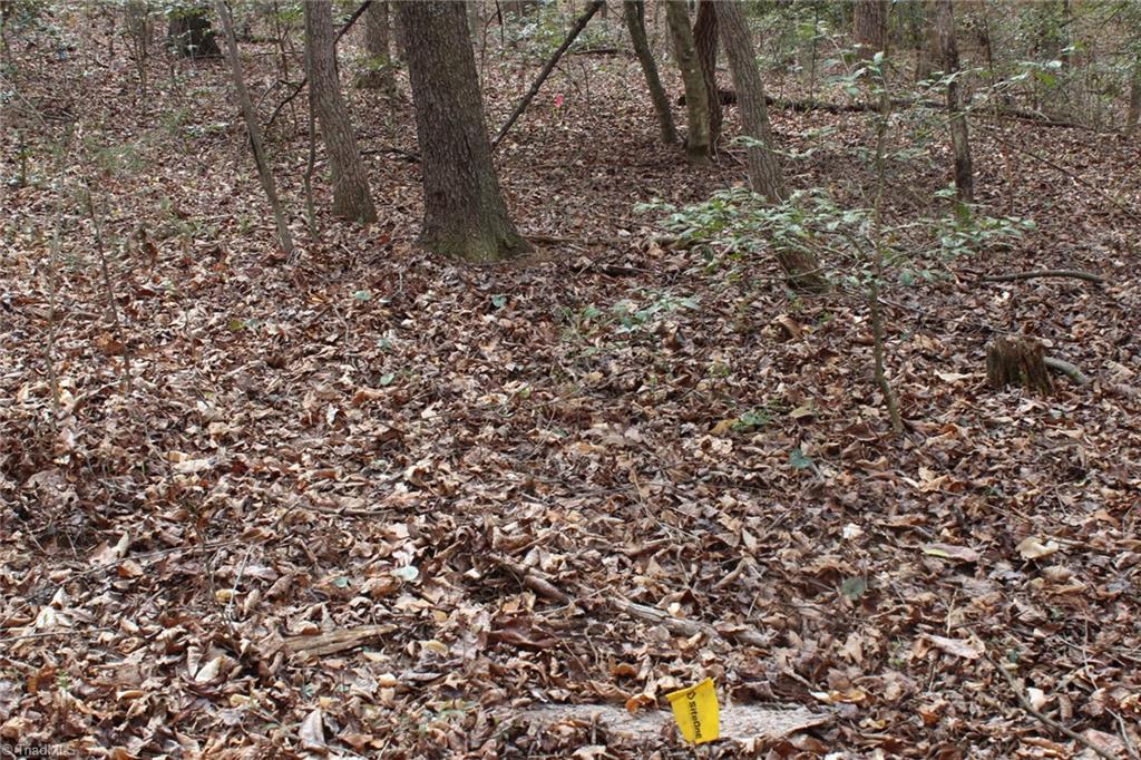 0 Vashti Road Property Photo 43