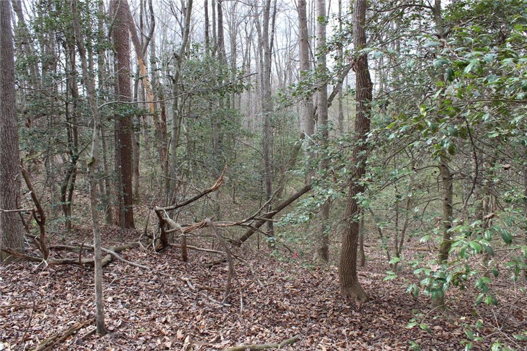 0 Vashti Road Property Photo 44