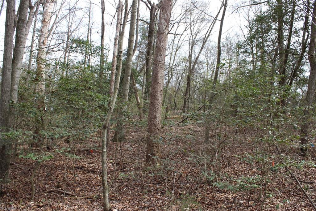 0 Vashti Road Property Photo 45
