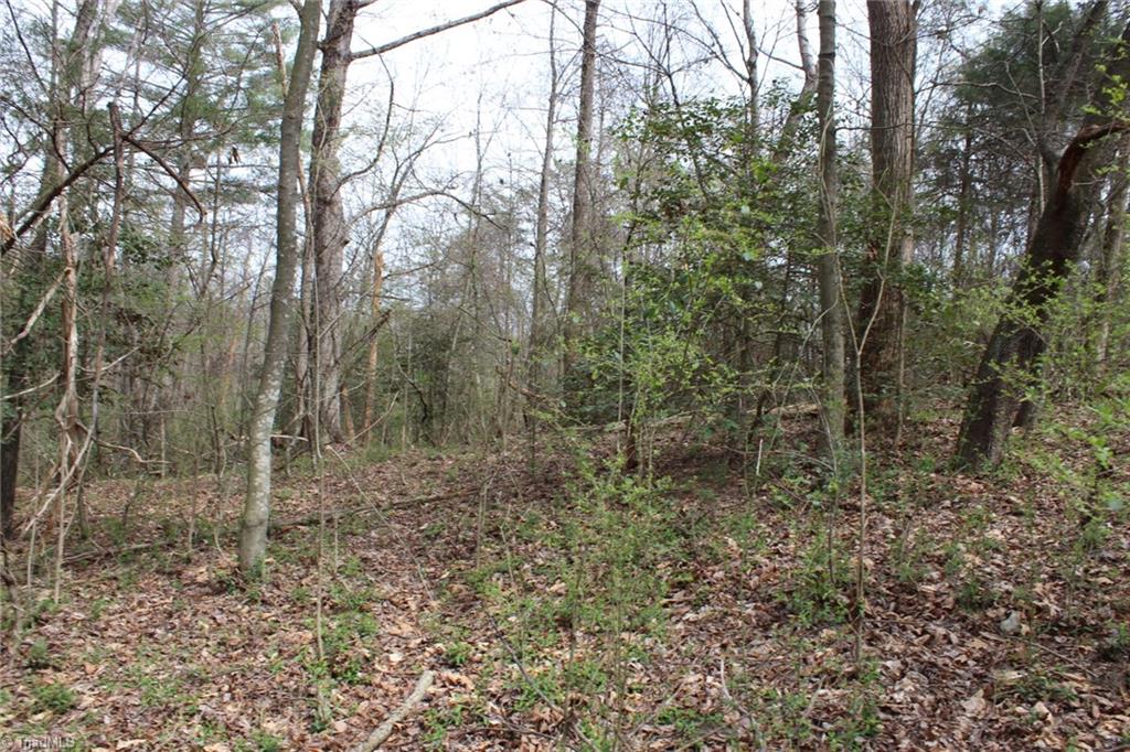 0 Vashti Road Property Photo 47