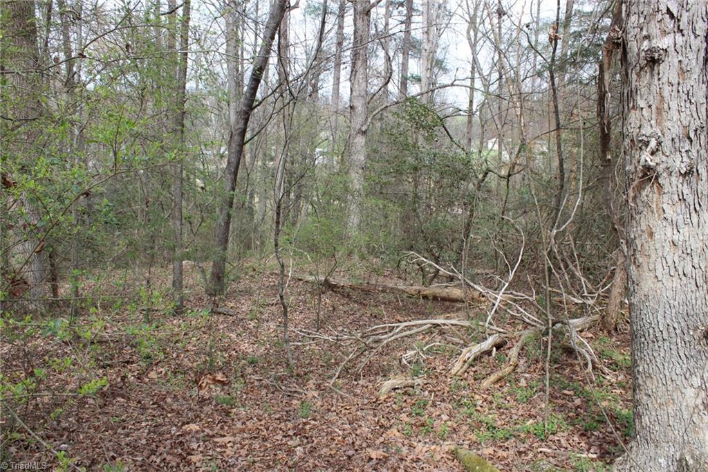 0 Vashti Road Property Photo 48