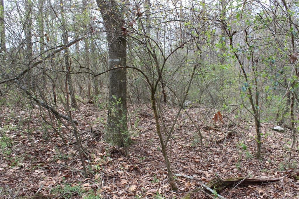 0 Vashti Road Property Photo 49