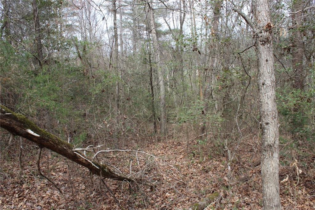 0 Vashti Road Property Photo 50