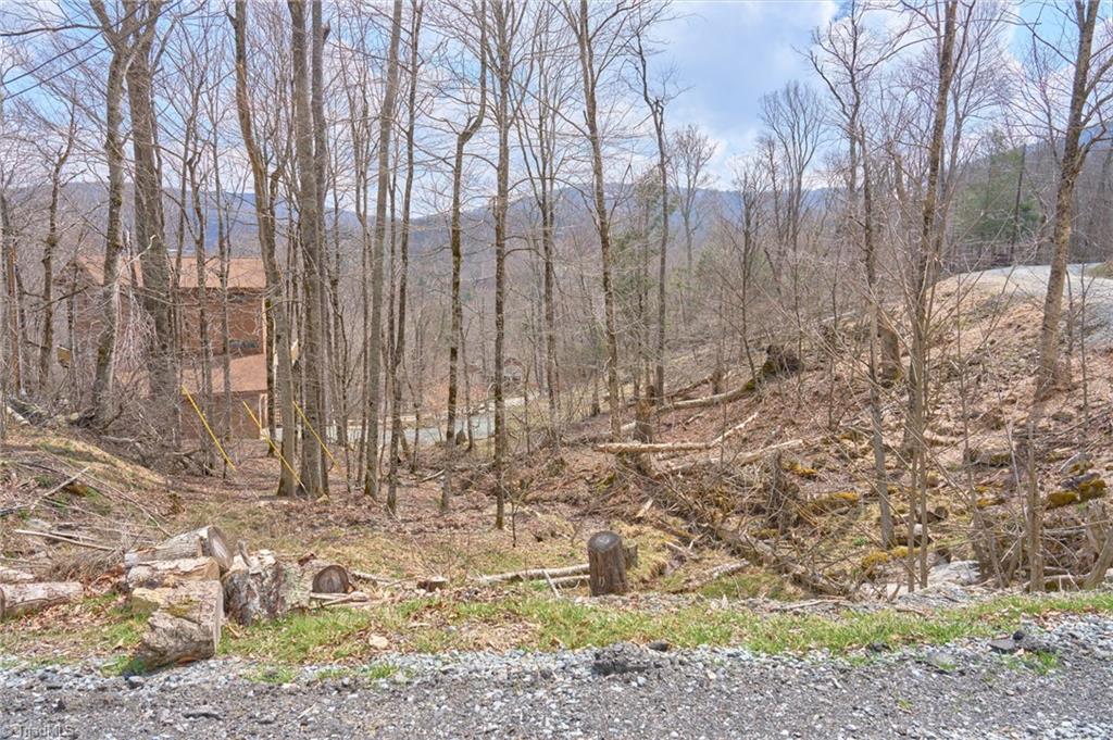 101 Foxgrape Hollow Road Property Photo 1