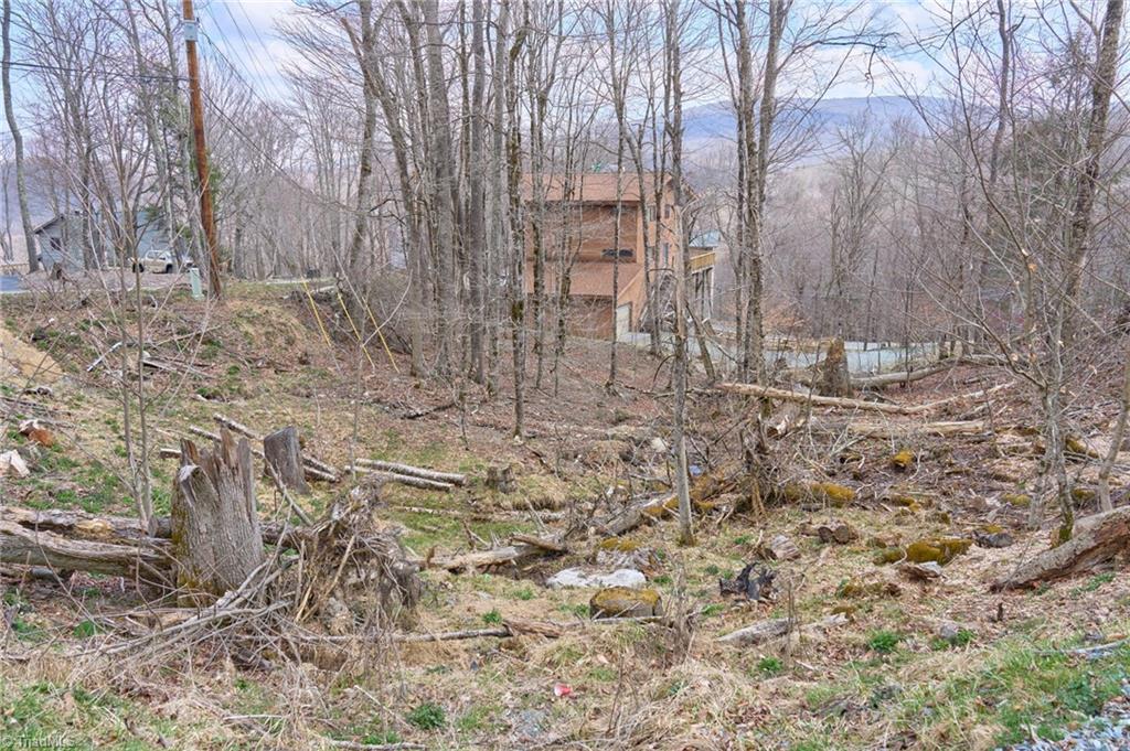 101 Foxgrape Hollow Road Property Photo 2