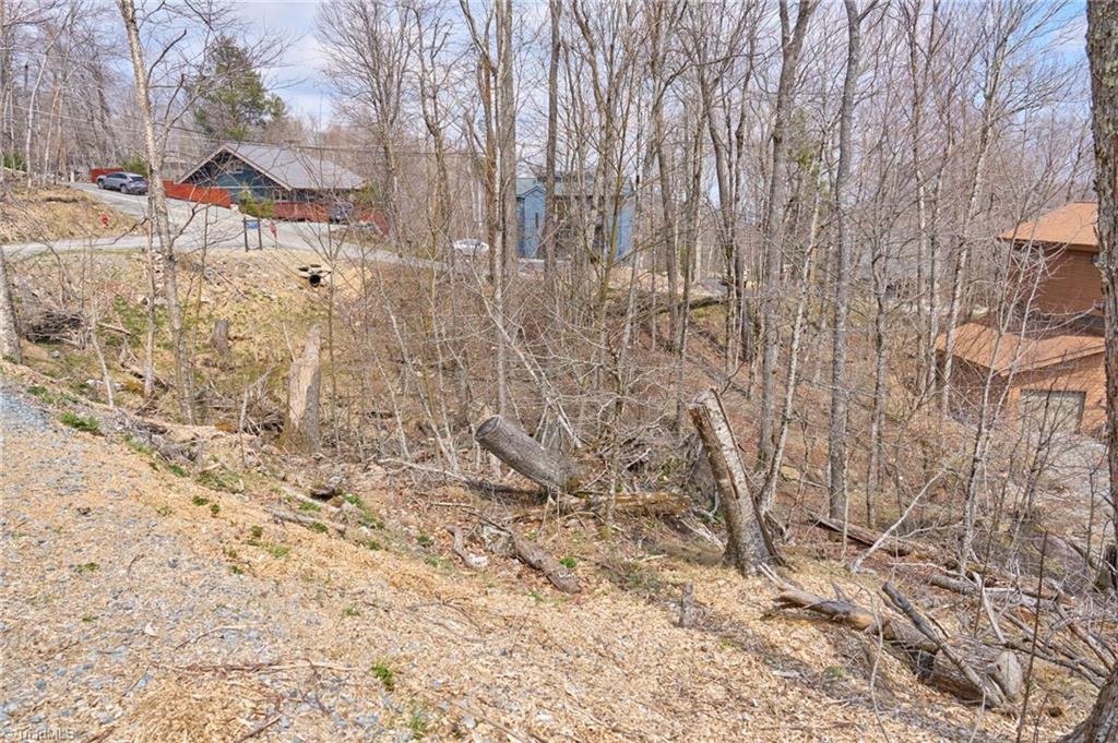 101 Foxgrape Hollow Road Property Photo 3