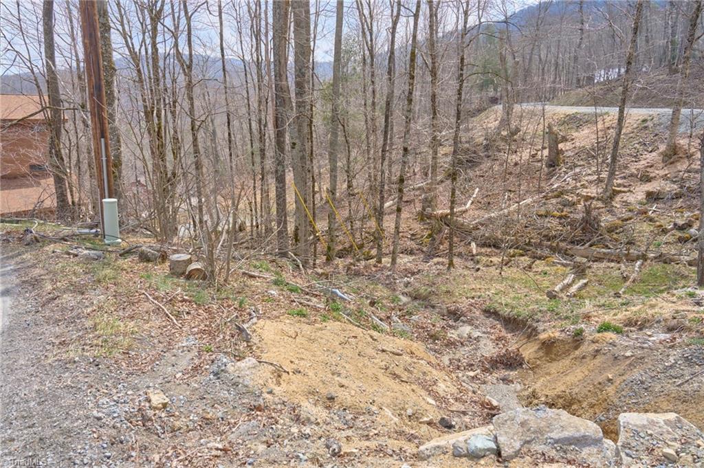 101 Foxgrape Hollow Road Property Photo 4