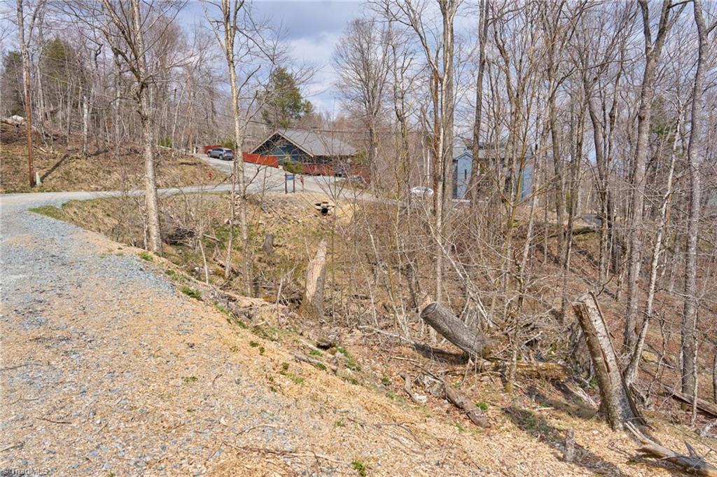 101 Foxgrape Hollow Road Property Photo 5