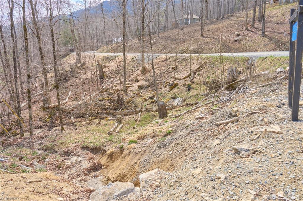 101 Foxgrape Hollow Road Property Photo 8