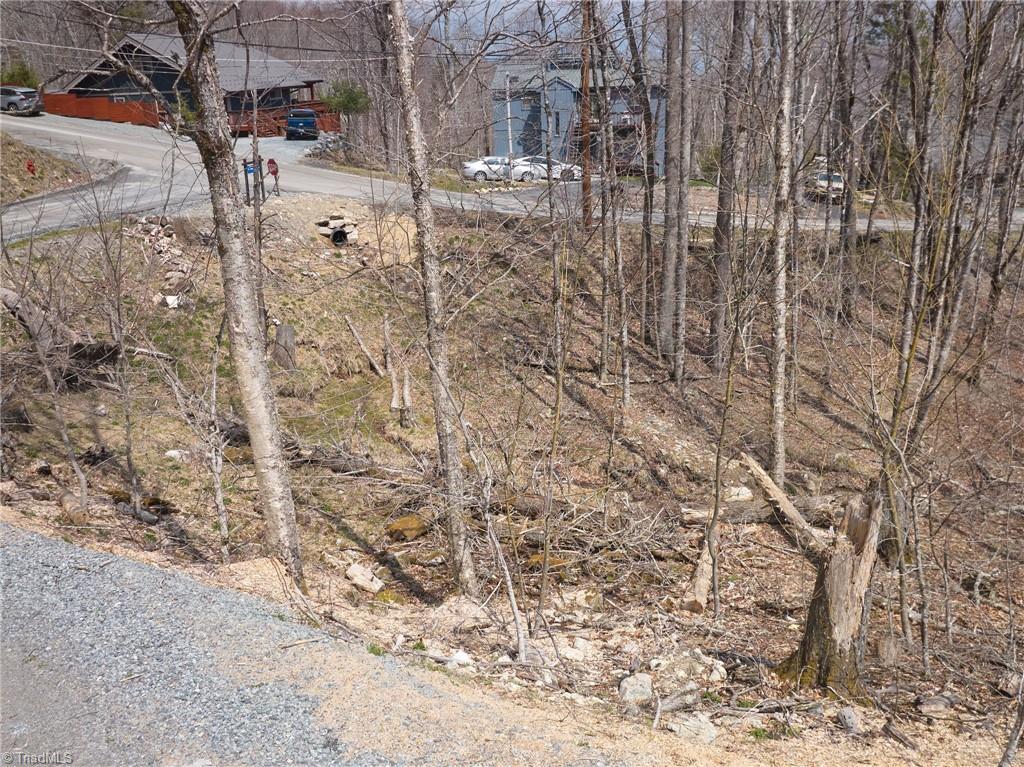 101 Foxgrape Hollow Road Property Photo 12