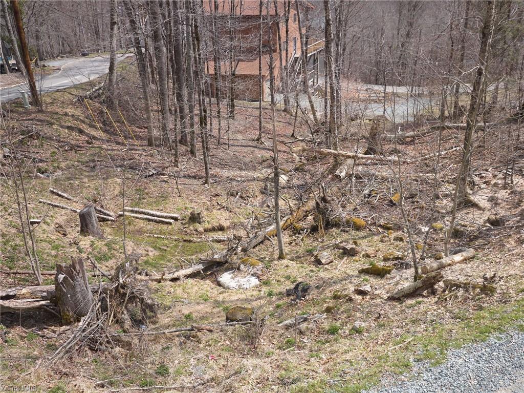 101 Foxgrape Hollow Road Property Photo 13