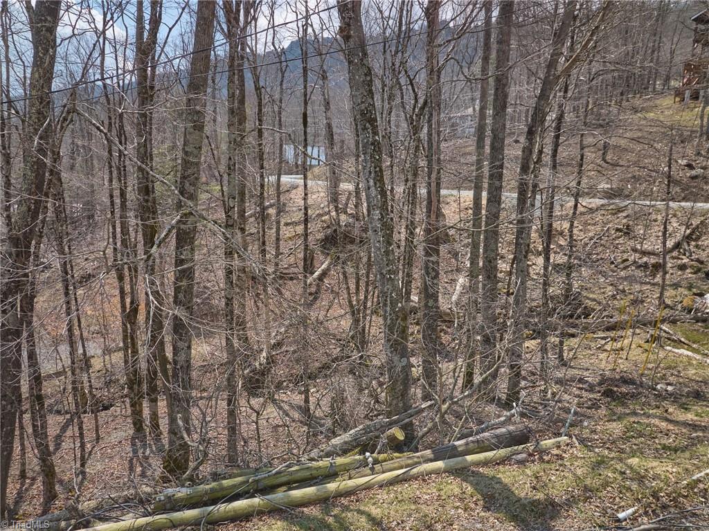 101 Foxgrape Hollow Road Property Photo 17
