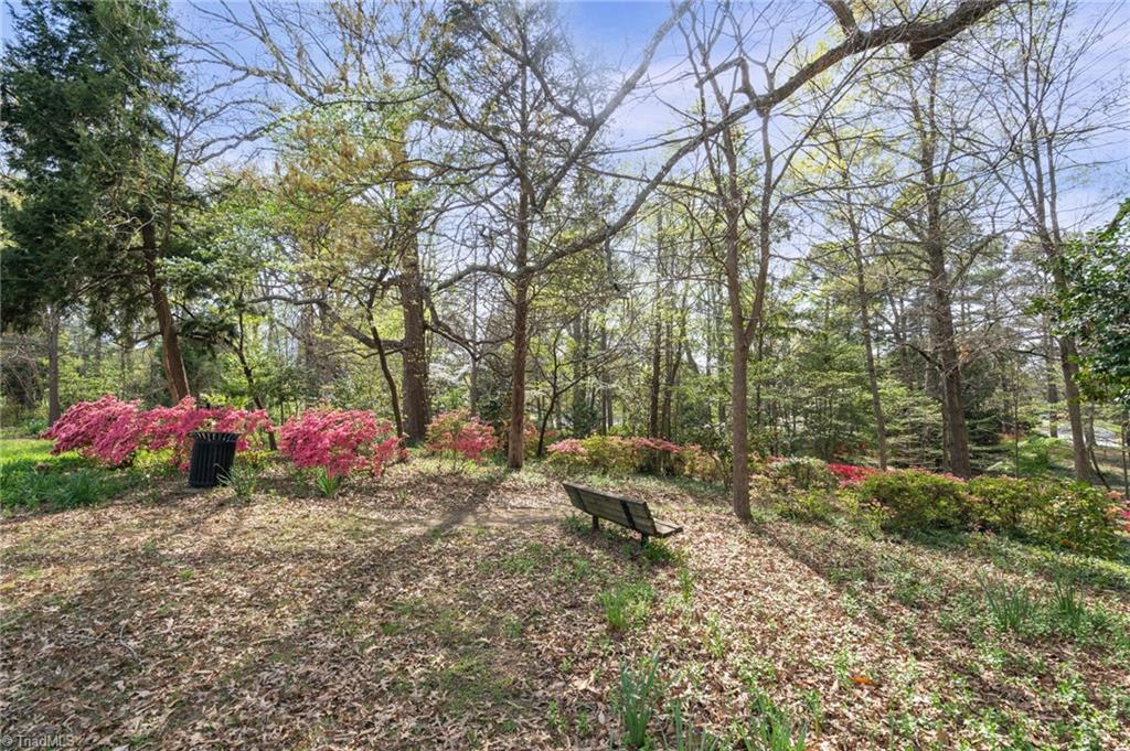 609 Magnolia Street Property Photo 39
