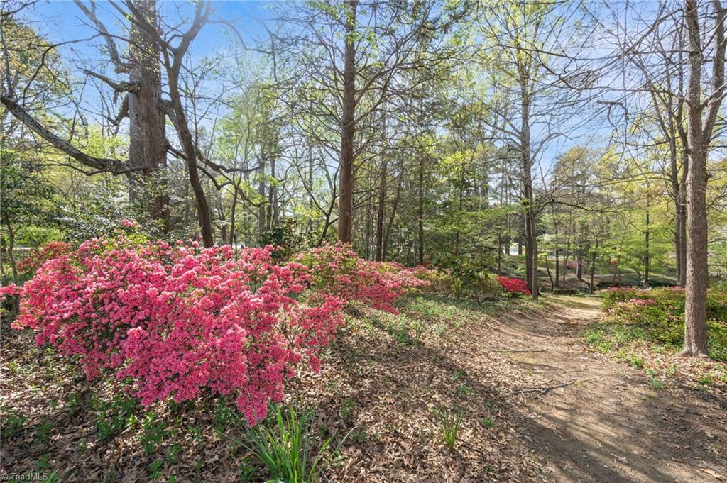 609 Magnolia Street Property Photo 40