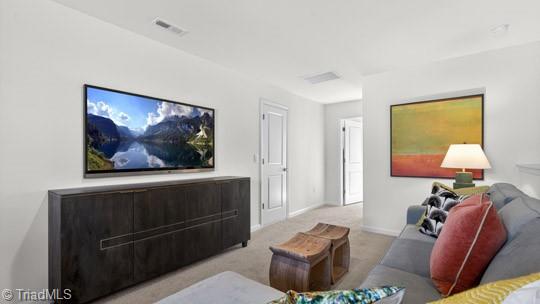 307 Sefton Drive Property Photo 27