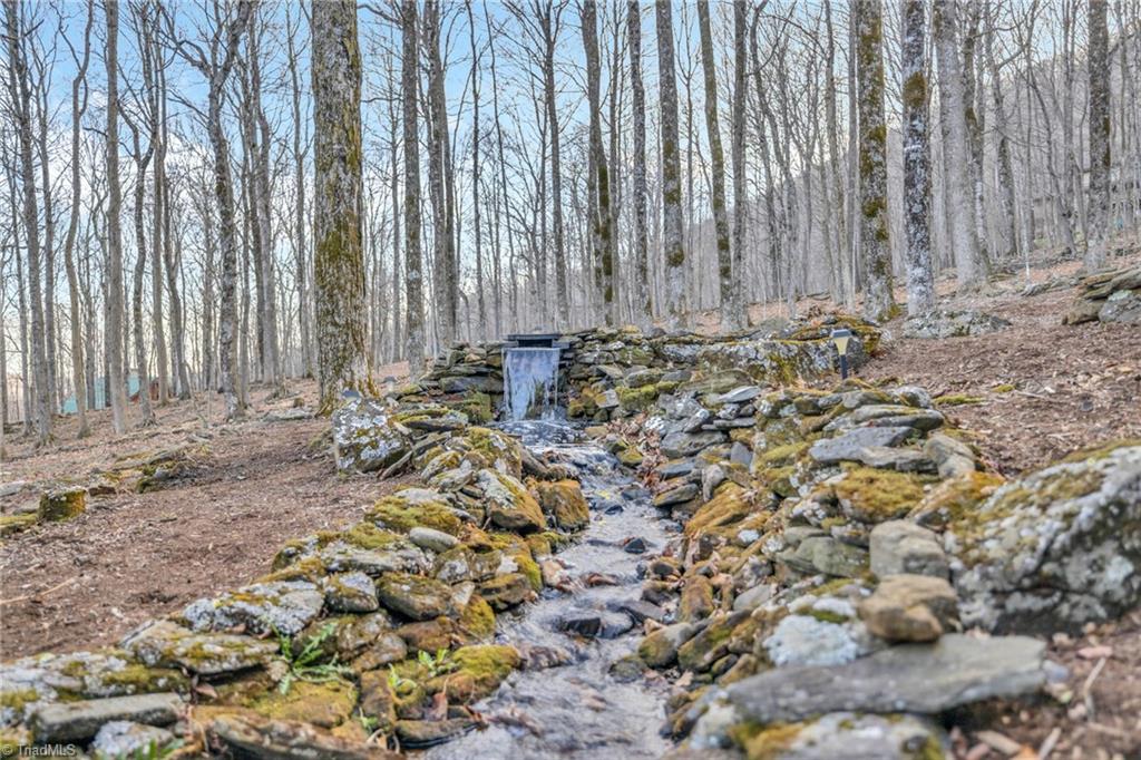 632 Big Tree Road Property Photo 5