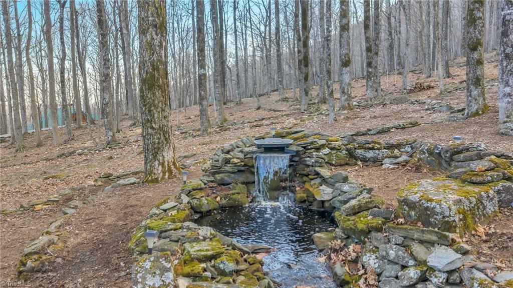 632 Big Tree Road Property Photo 7
