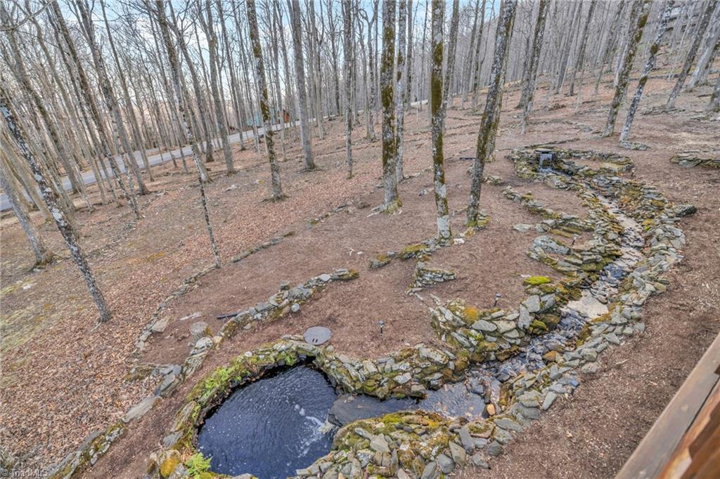 632 Big Tree Road Property Photo 10