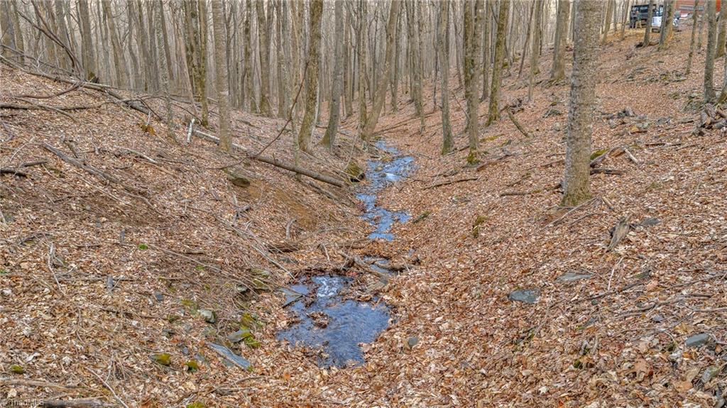632 Big Tree Road Property Photo 41