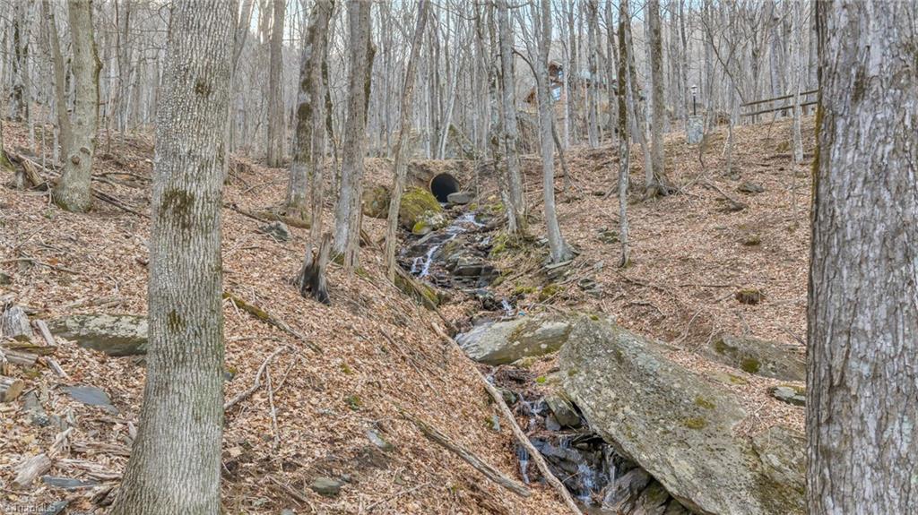 632 Big Tree Road Property Photo 42