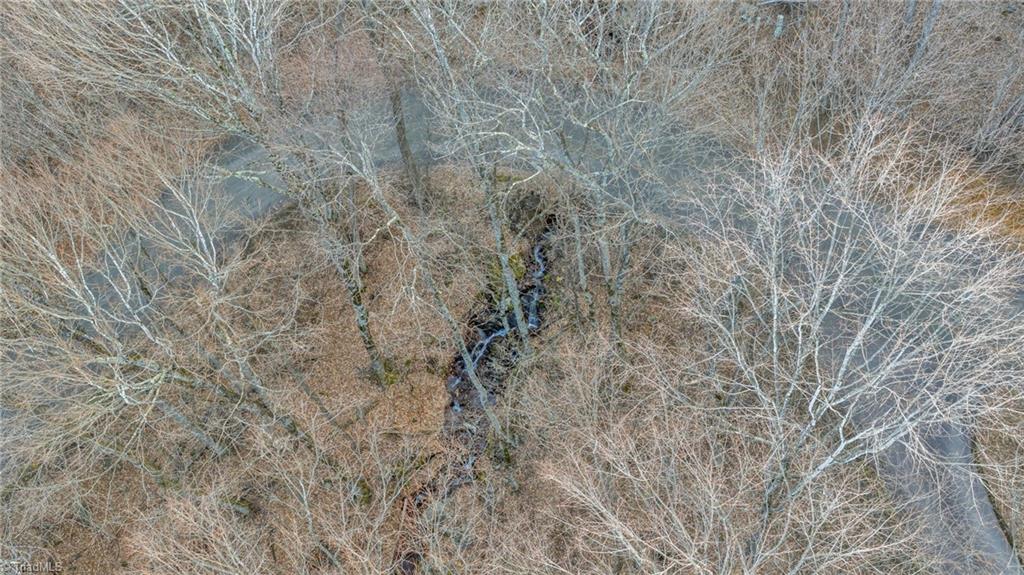 632 Big Tree Road Property Photo 43