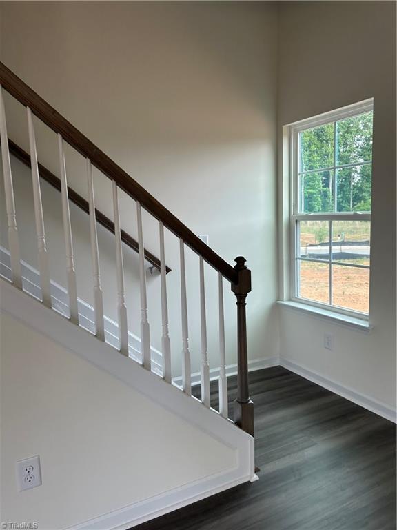3511 Wilcox Court Property Photo 7