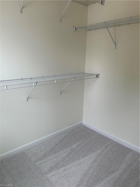3511 Wilcox Court Property Photo 12