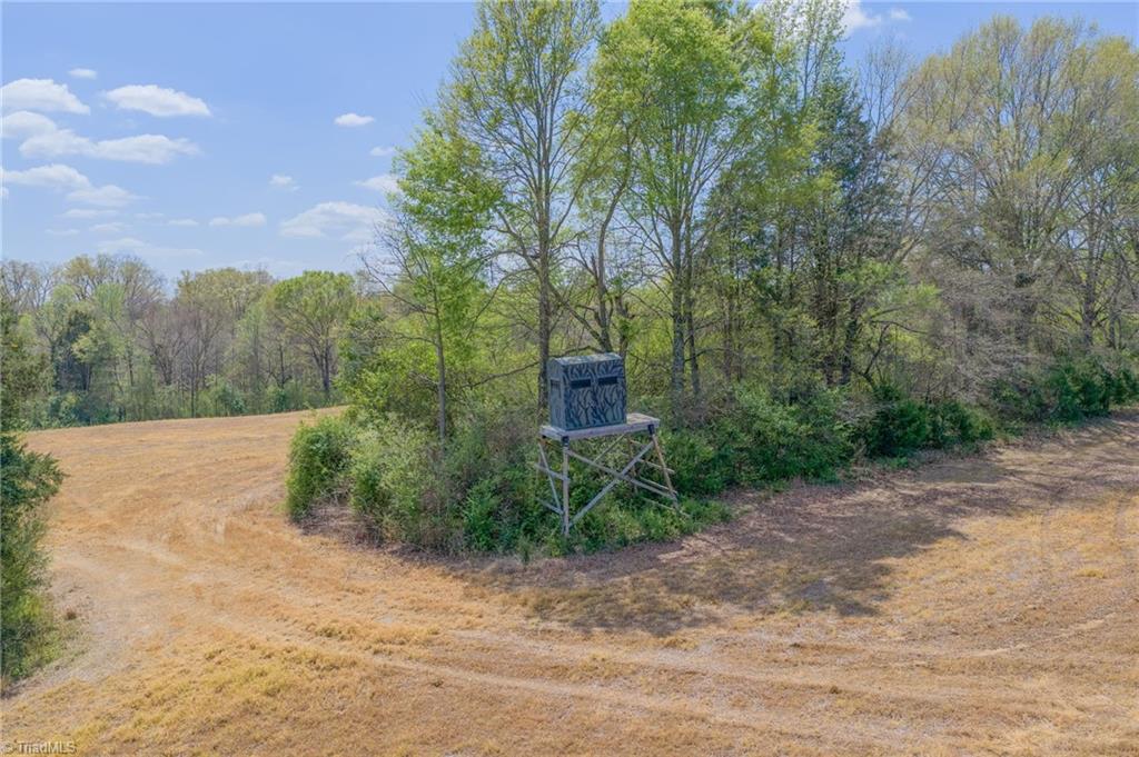 32286 Laton Road Property Photo 37