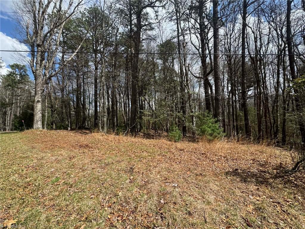 Tbd Ward Circle Drive Property Photo 3