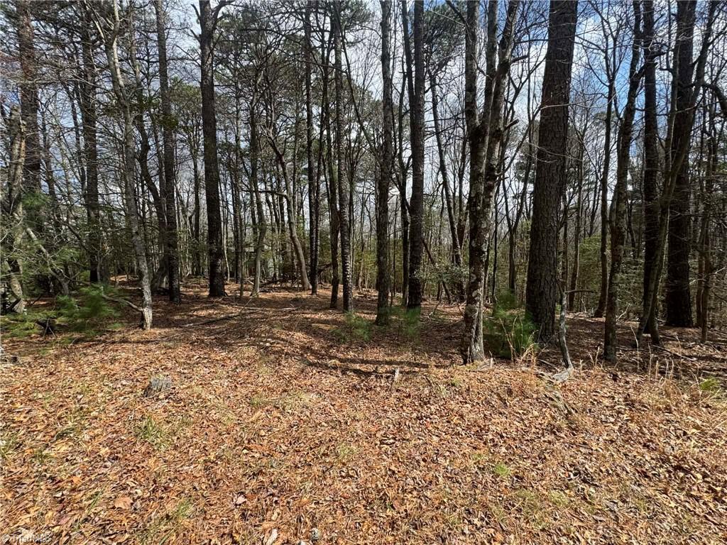 Tbd Ward Circle Drive Property Photo 4