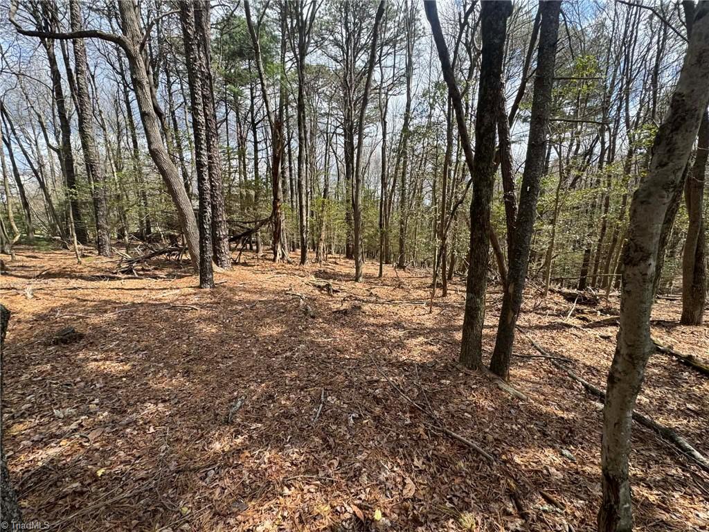 Tbd Ward Circle Drive Property Photo 6