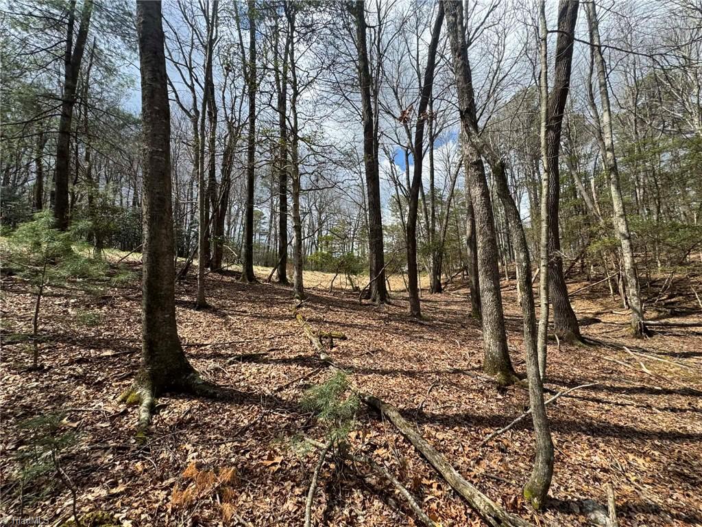 Tbd Ward Circle Drive Property Photo 15