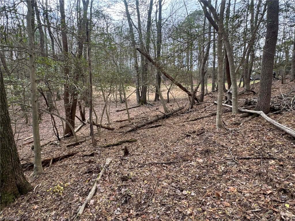 Tbd Ward Circle Drive Property Photo 19