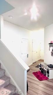 4231 Honeysuckle Vine Run Property Photo 9