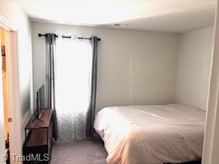 4231 Honeysuckle Vine Run Property Photo 16