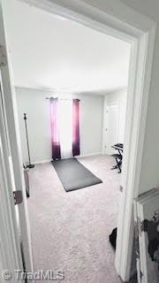 4231 Honeysuckle Vine Run Property Photo 19