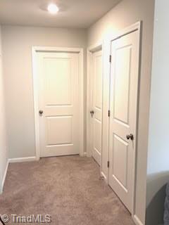 4231 Honeysuckle Vine Run Property Photo 21