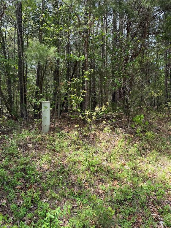 0 Clyde King Road Property Photo 1