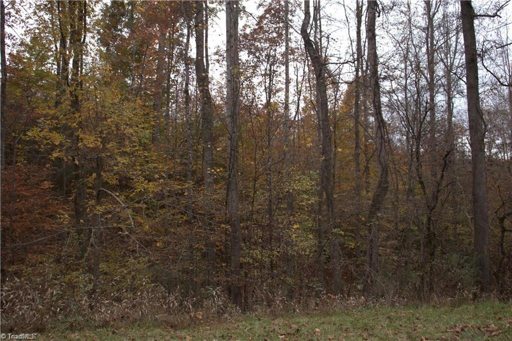 00 Griffin Road Property Photo 4