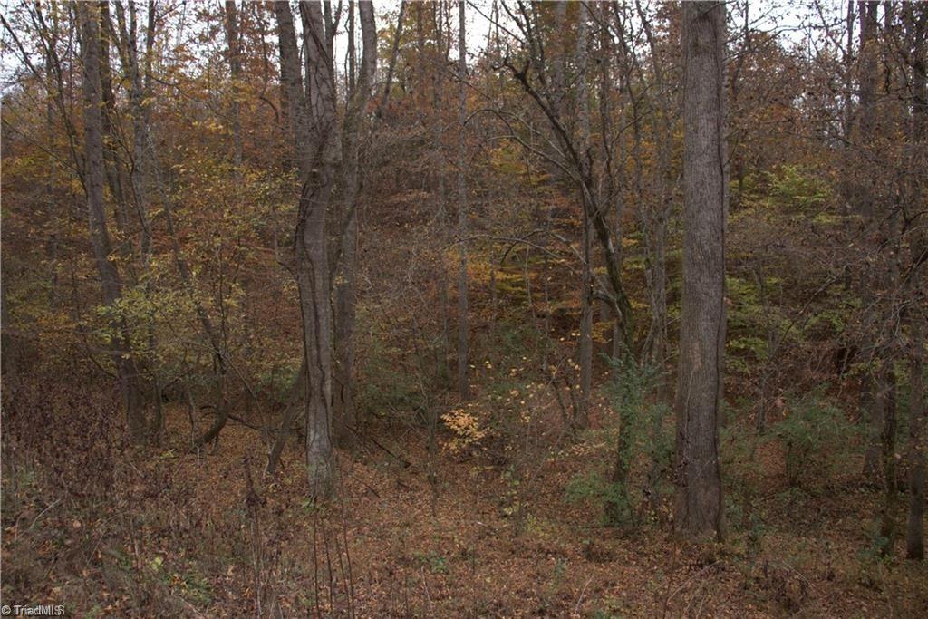 00 Griffin Road Property Photo 6