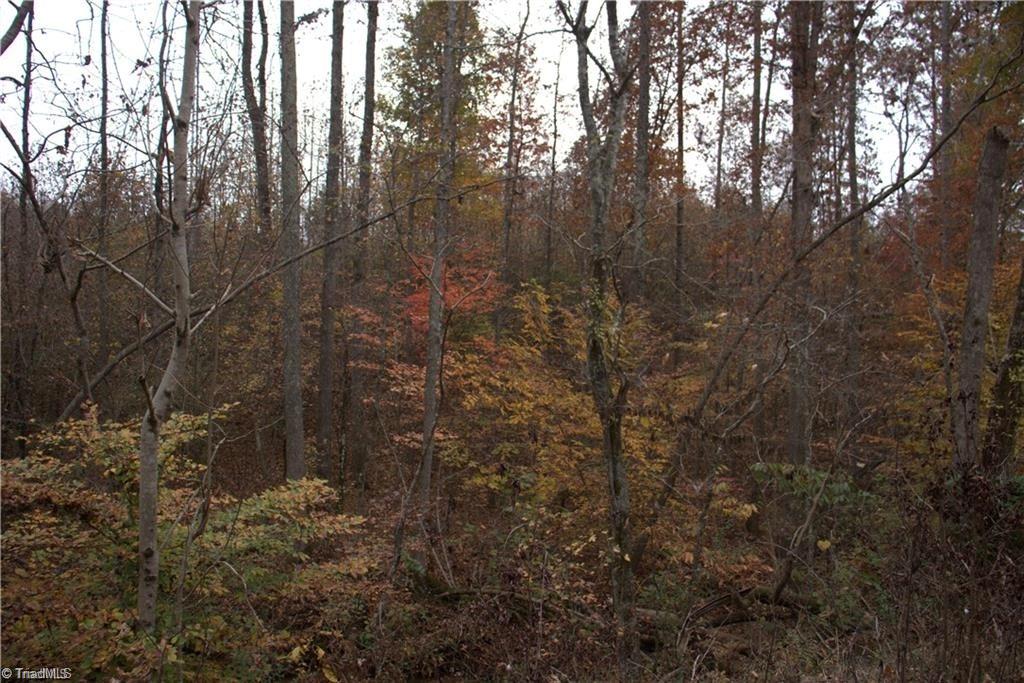 00 Griffin Road Property Photo 8