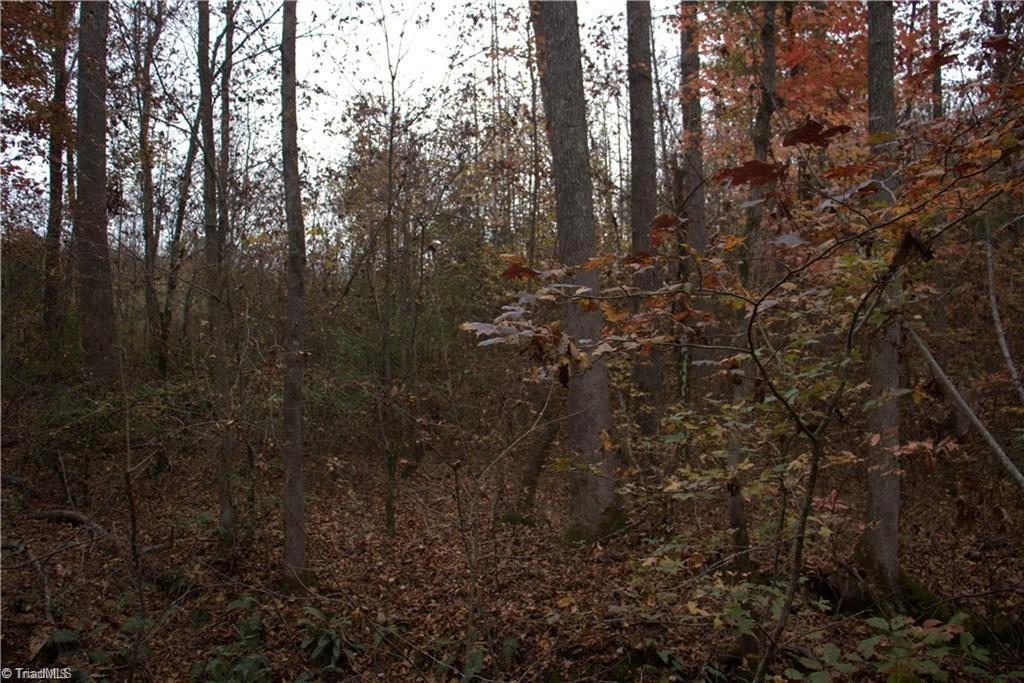 00 Griffin Road Property Photo 11
