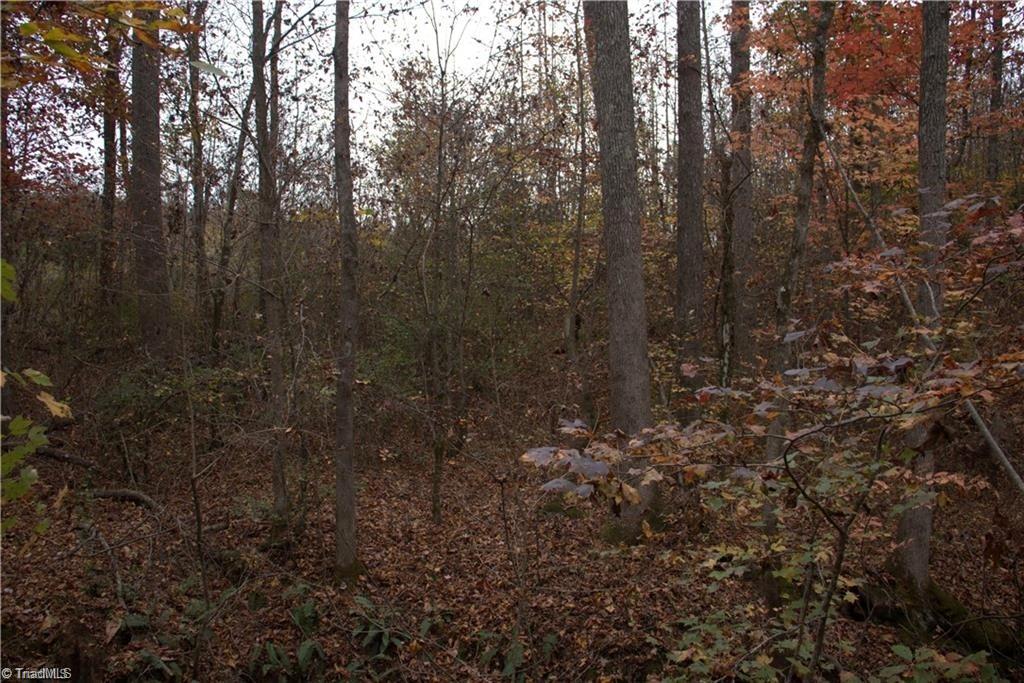00 Griffin Road Property Photo 12