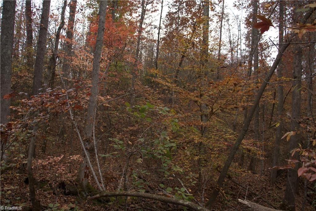 00 Griffin Road Property Photo 15