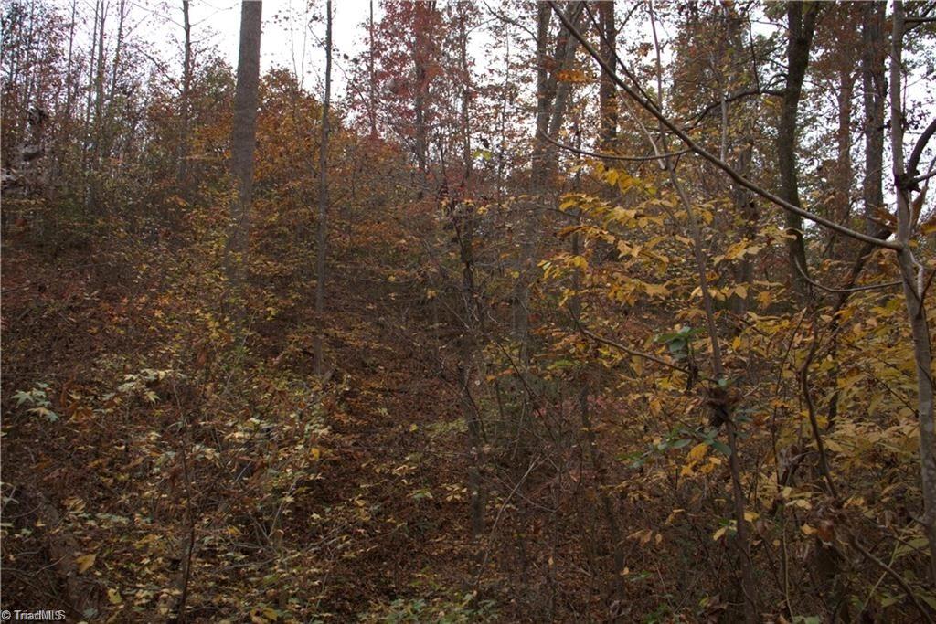 00 Griffin Road Property Photo 16